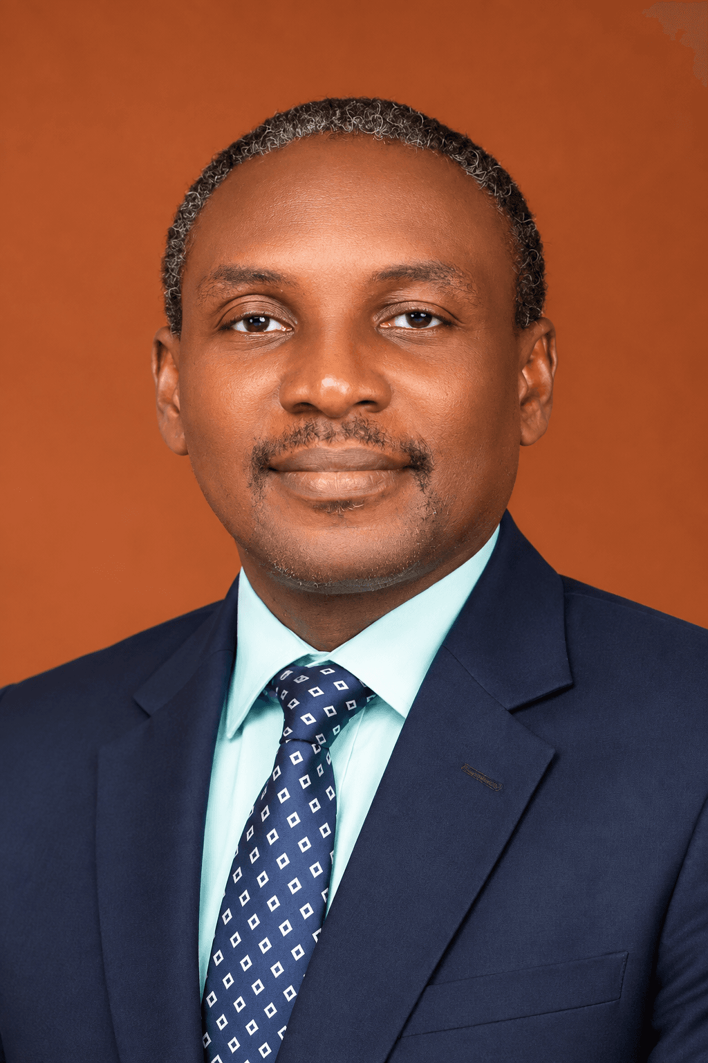 Portrait of Engr. Uche Ngonebu